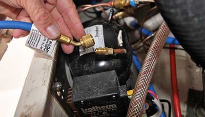 Не работает верхняя камера холодильника Electrolux